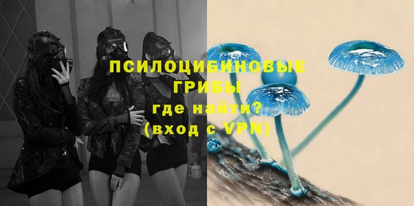 соль ск Богородицк