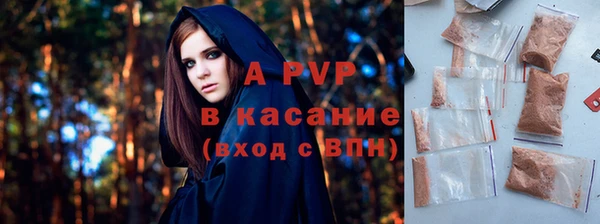 гашик Богданович
