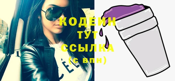 соль ск Богородицк