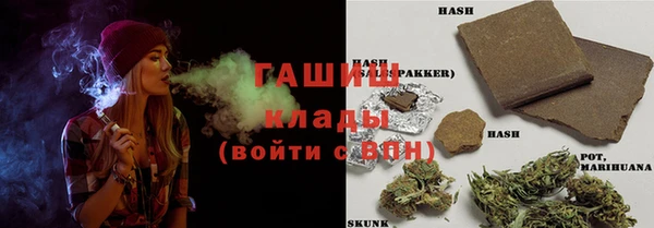 гашик Богданович