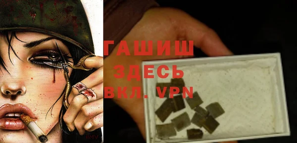гашик Богданович
