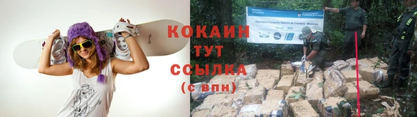гашик Богданович