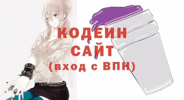 соль ск Богородск