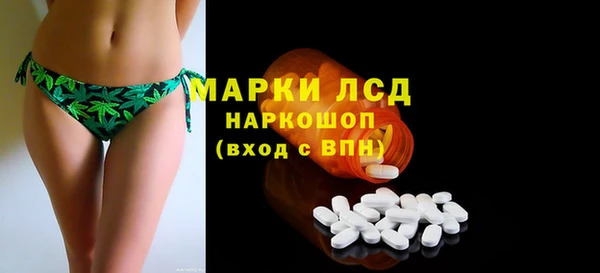 гашик Богданович