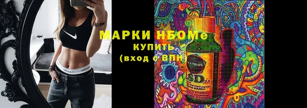 гашик Богданович