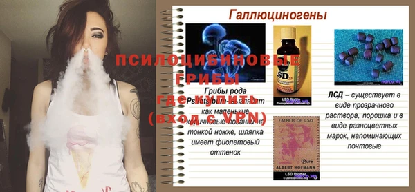 гашик Богданович