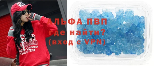 гашик Богданович