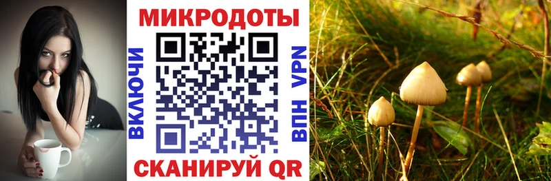 Псилоцибиновые грибы Psilocybine cubensis  ссылка на мегу зеркало  Уфа 